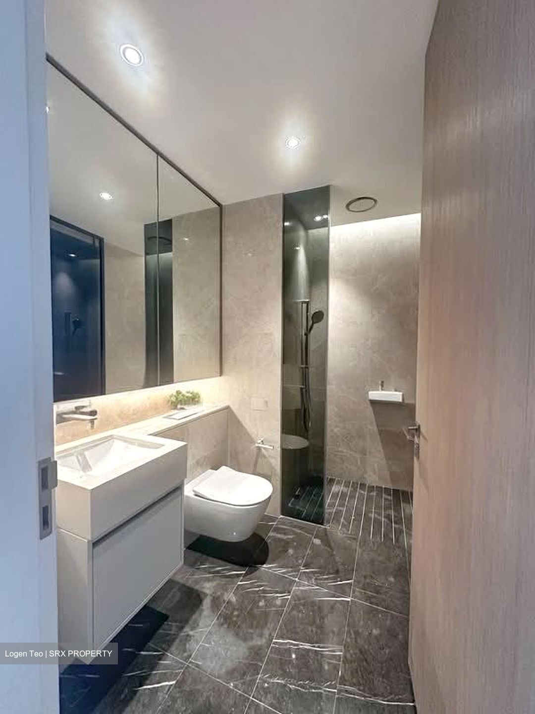 Amber Park (D15), Condominium #561978621